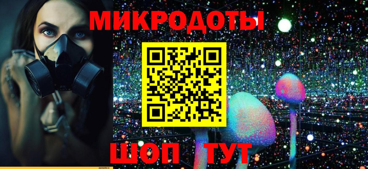 Галлюциногенные грибы мицелий  где купить наркоту  Сокол  Вход с VPN 