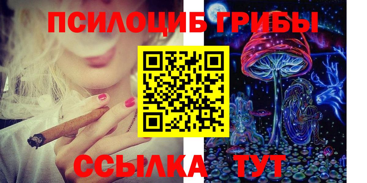 Псилоцибиновые грибы Cubensis Сокол